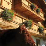 Bauernhaus mit Balkon