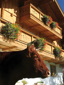Bauernhaus mit Balkon